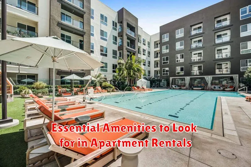 Essential Amenities to Look for in Apartment Rentals