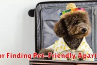 Tips for Finding Pet-Friendly Apartments