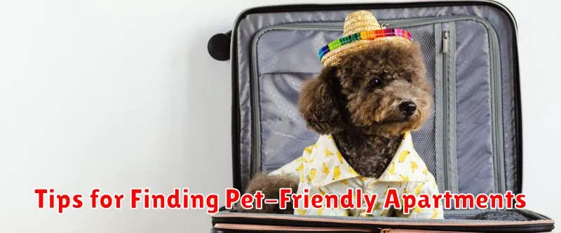 Tips for Finding Pet-Friendly Apartments